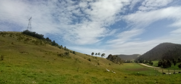 llanos 94