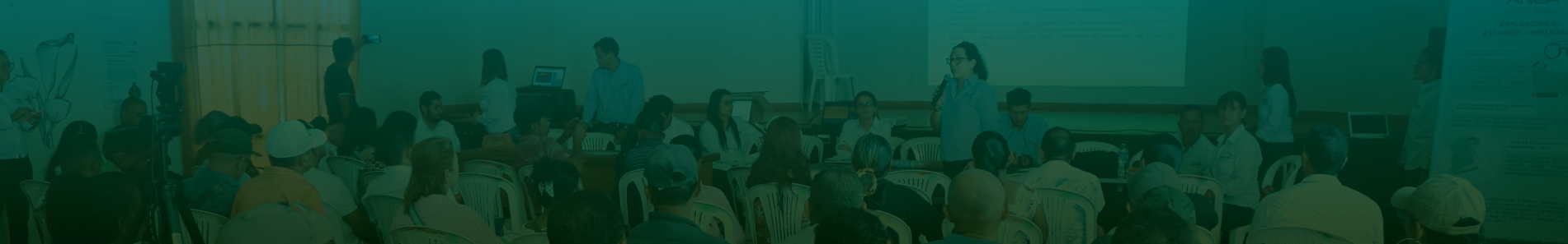 Presupuesto Participativo
