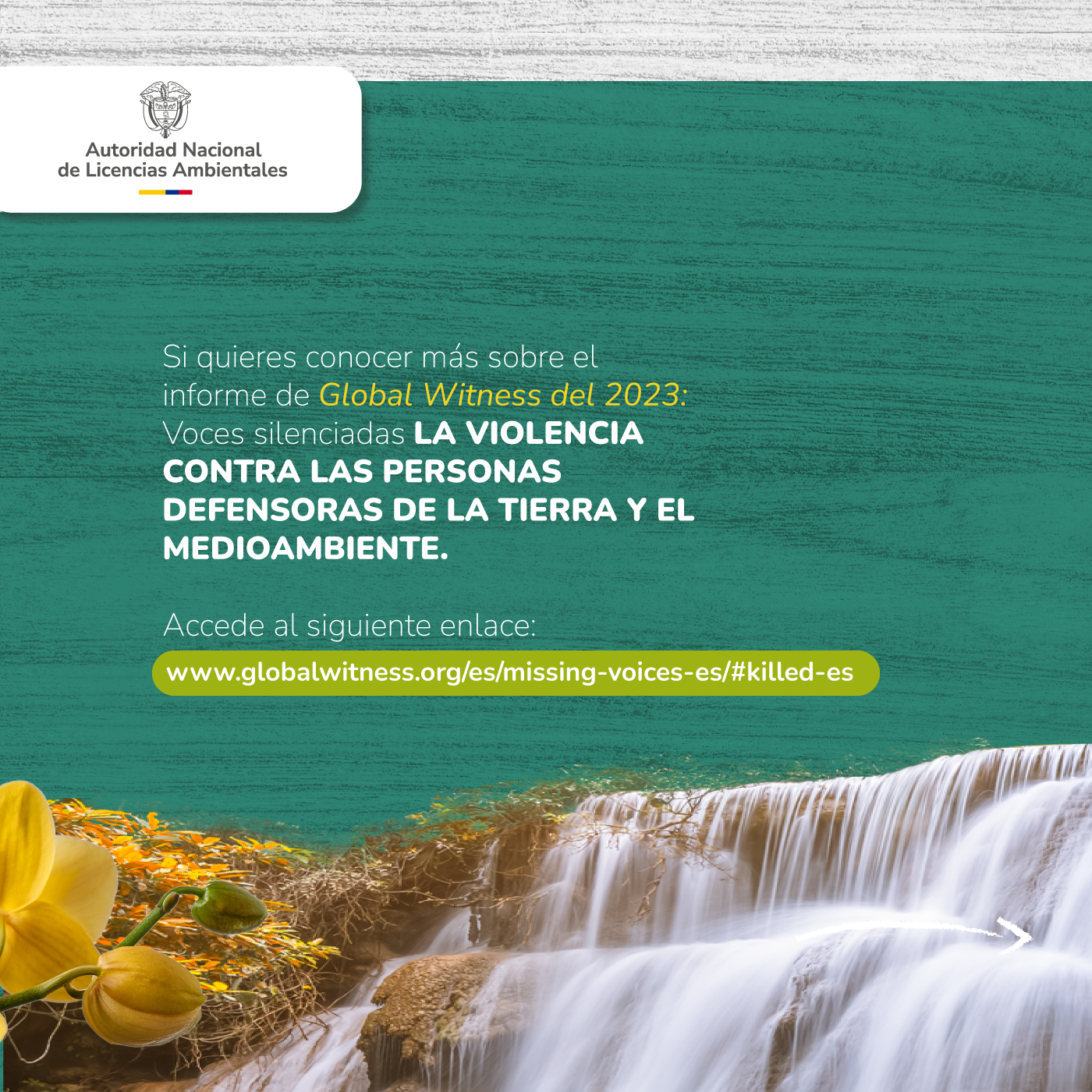 Banner Riesgos de Personas Defensoras 3