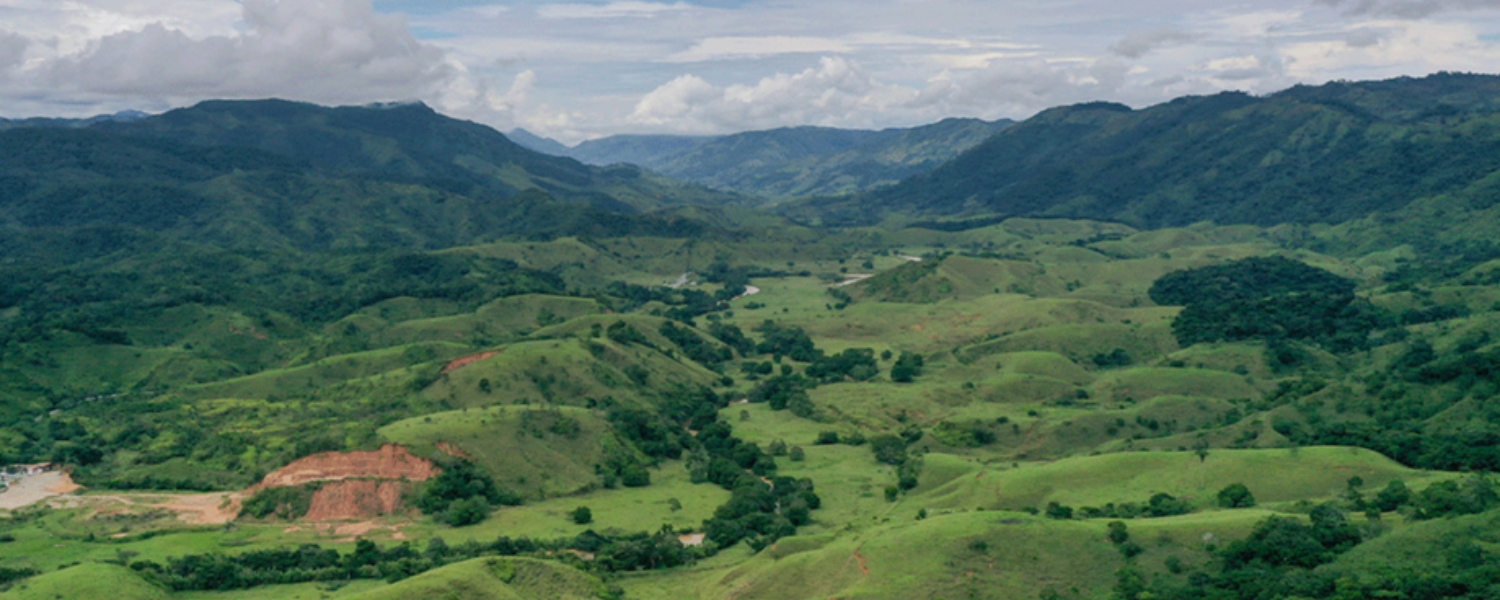 Sector Montañoso con paisaje verde