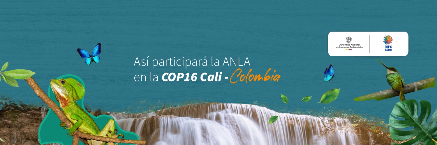 Banner de participación de la ANLA