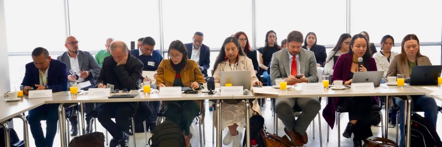 Imagen del Consejo Técnico Consultivo del proyecto minero El Alacrán en Córdoba