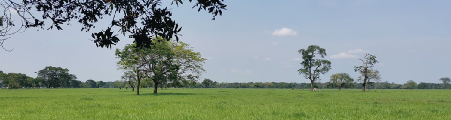 panoramica del lugar donde se desarrolla proyecto Campo de Producción castilla y Chichimene