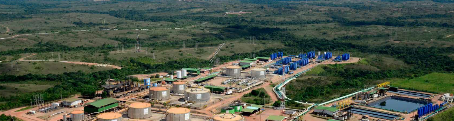 imagen del área del campo QUIFA