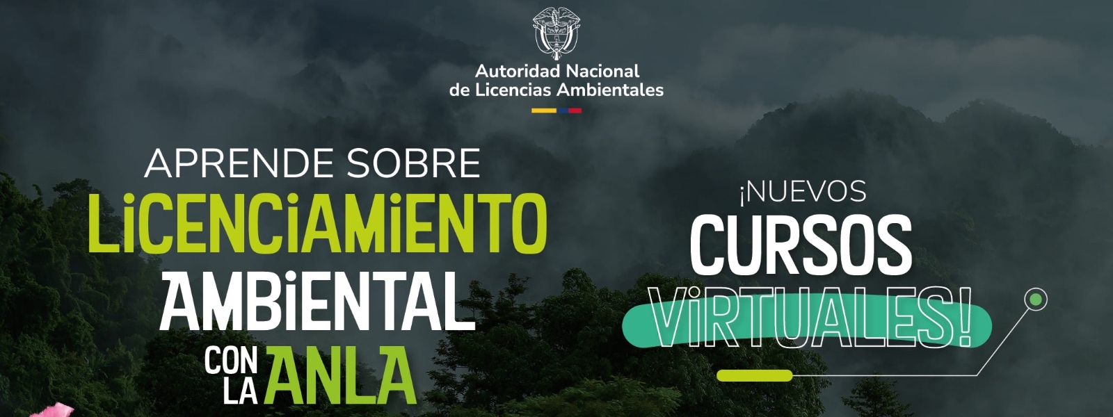 Imagen de nuevos cursos virtuales